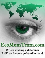 EcoMomTeam logo